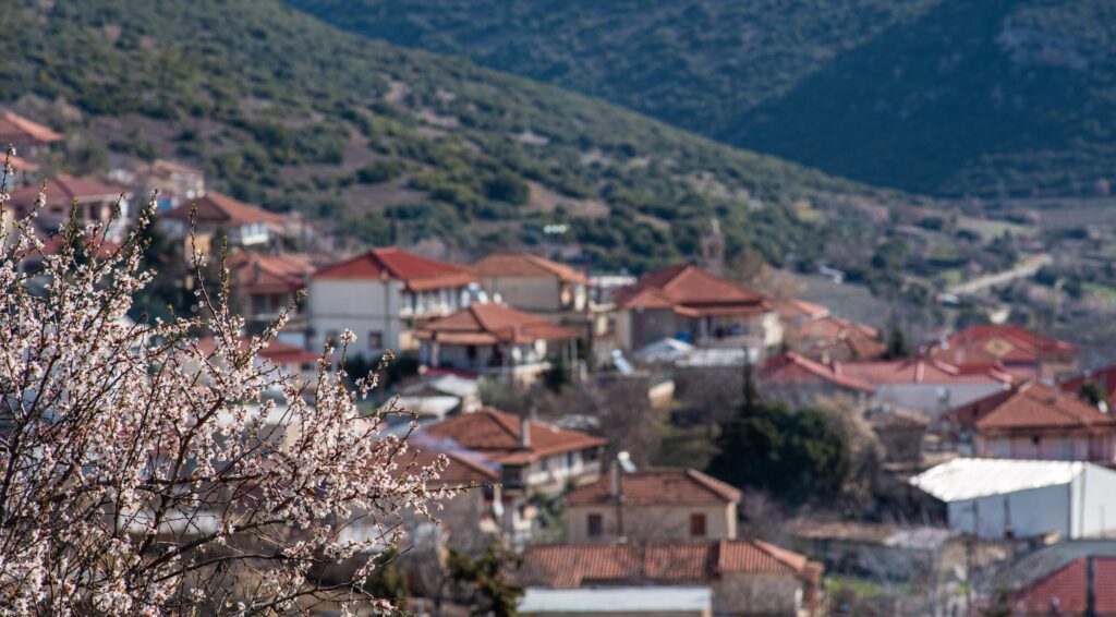Ψάρι — φωτογραφία