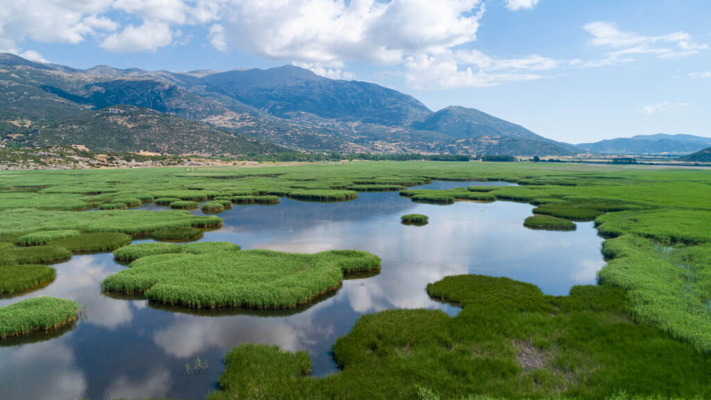 Γαστρονομία & τοπικά προϊόντα της Σικυωνίας 2 Ορεινή Σικυωνία